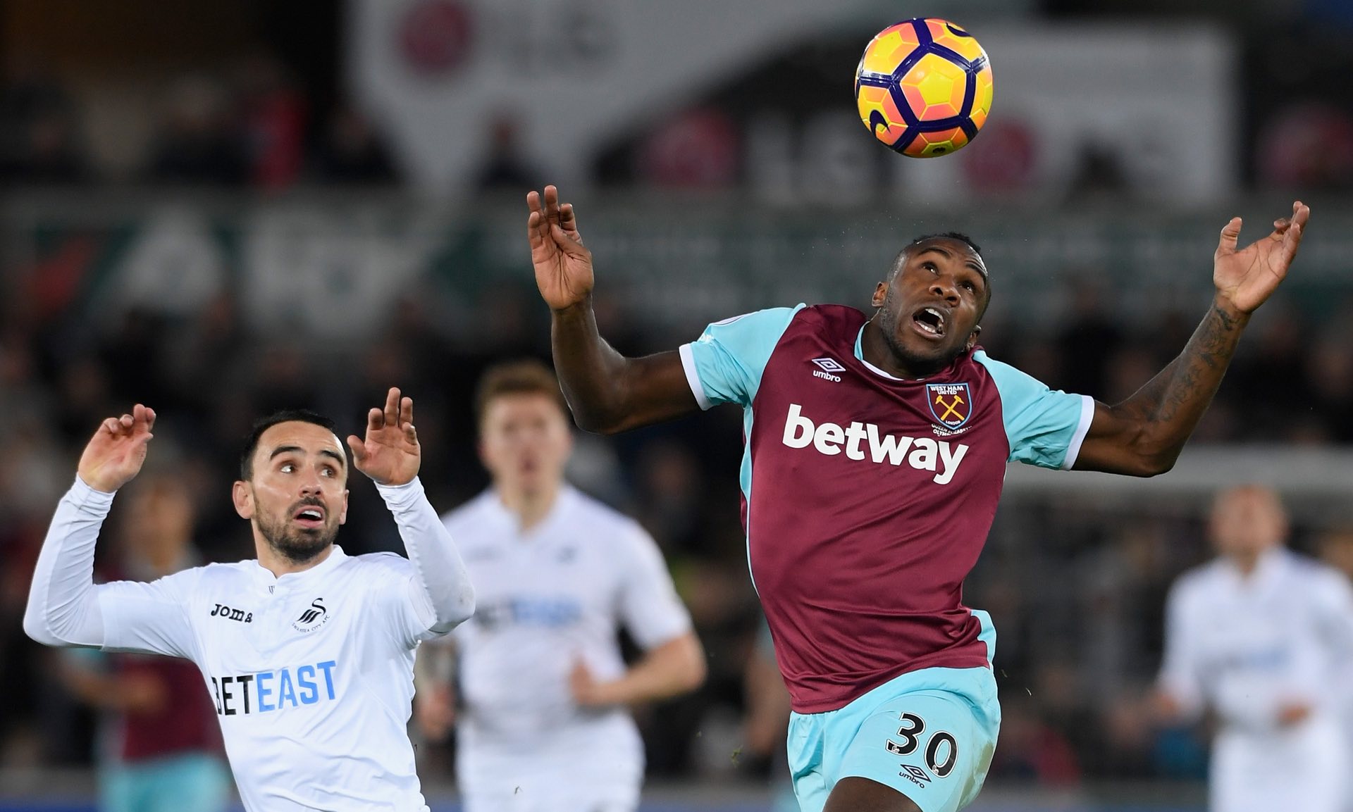 增添了更多 增添了更多