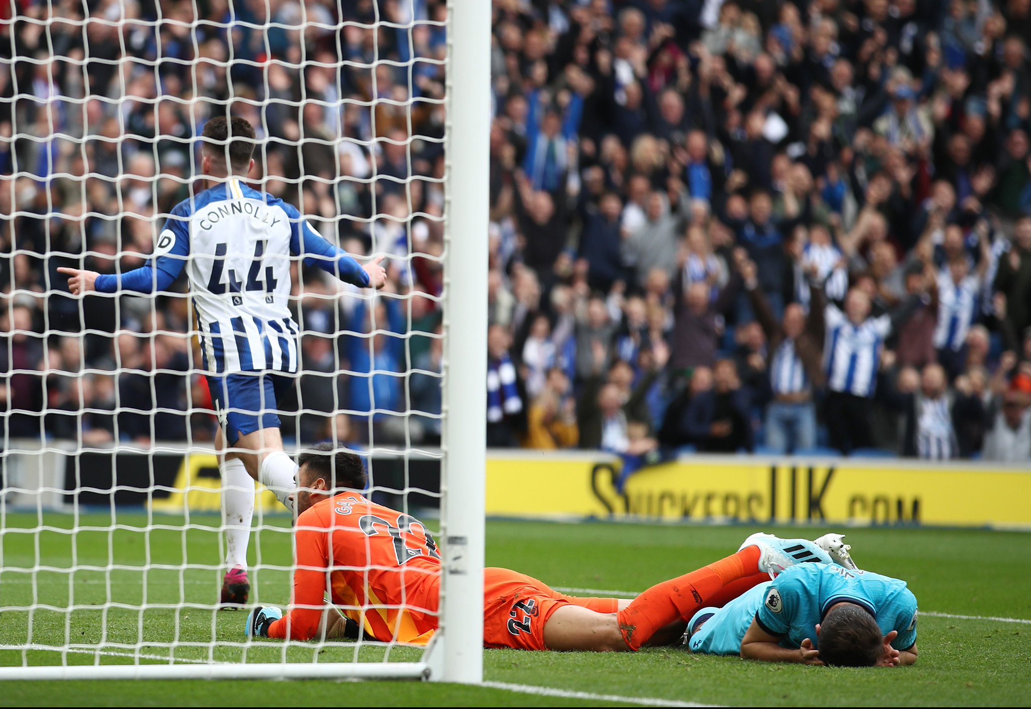 和发展潜力 和发展潜力