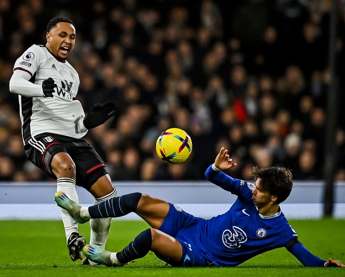 他们在这里 他们在这里